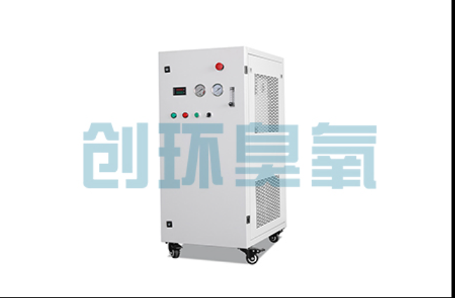 忠县工厂化养鲈必看:2026年臭氧发生器替代传统消毒的最新方案
