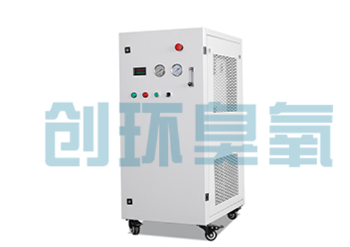 忠县石斑鱼养殖水质调控完整指南:臭氧发生器配置与操作步骤