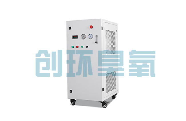 忠县比传统换水更高效?臭氧发生器在石斑鱼养殖中的水质净化原理解析